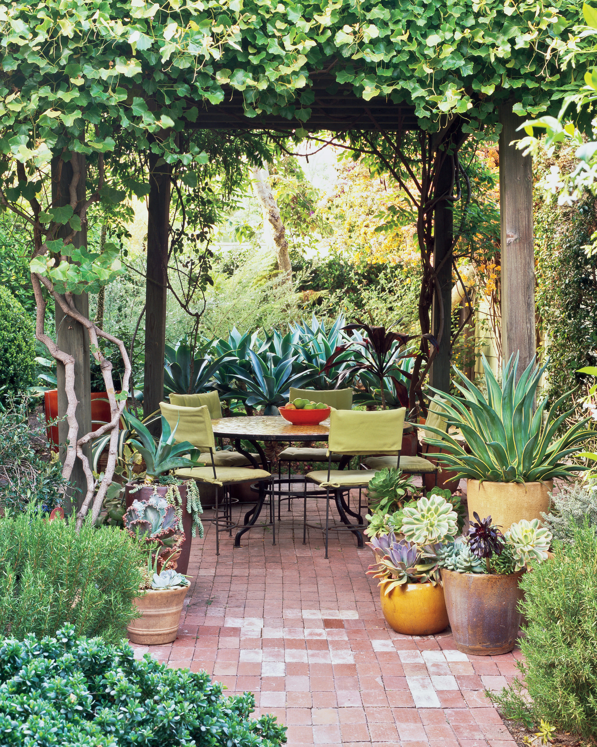 22 Vine Patio Ideas To Give The Shade