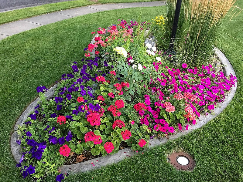 54 beautiful flower beds in the country for inspiration