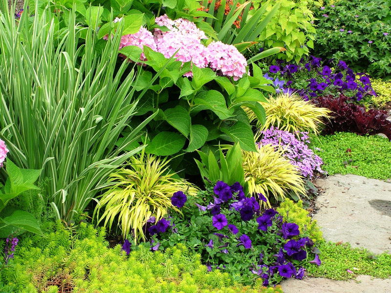 54 beautiful flower beds in the country for inspiration